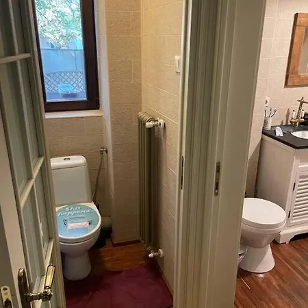 Garden Retreat: Downtown Oasis Near Cismigiu Apartment *