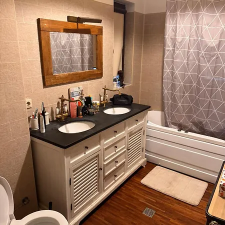 Garden Retreat: Downtown Oasis Near Cismigiu Bucharest